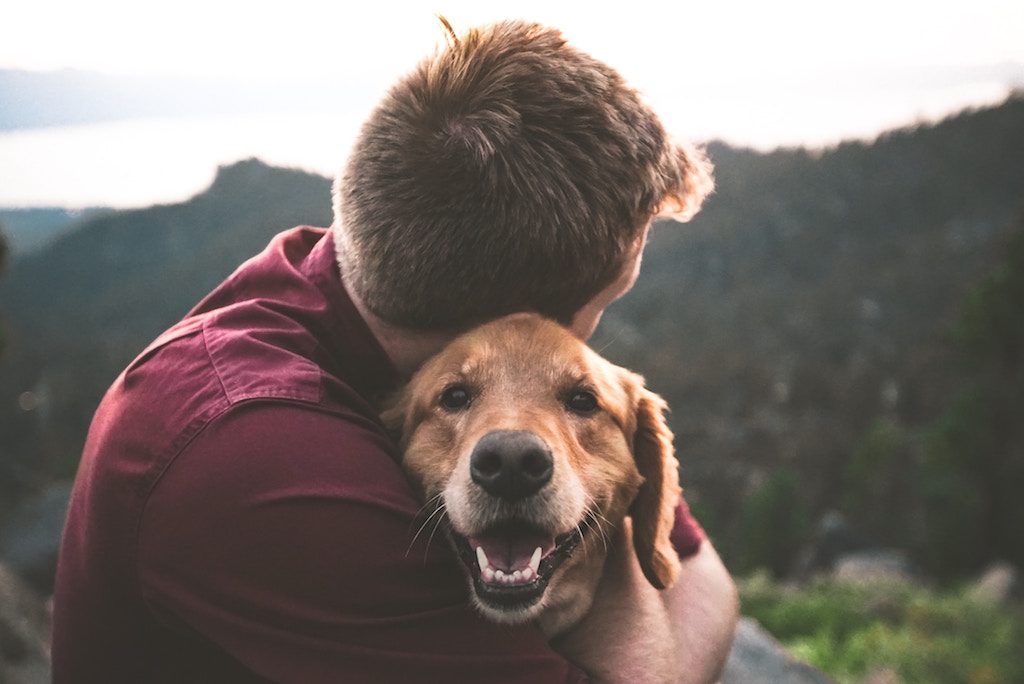 Av Veterinary Center – Easiest Pets to Look After